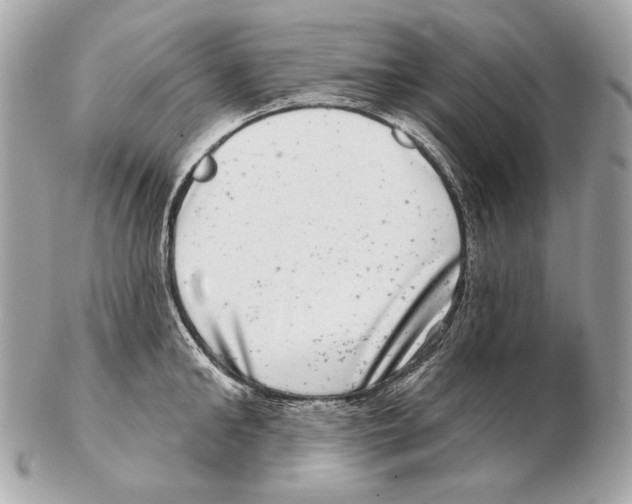 X0000102400902200808291443