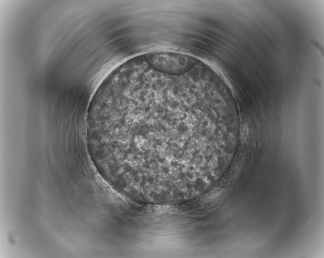 X0000102400903200808291443