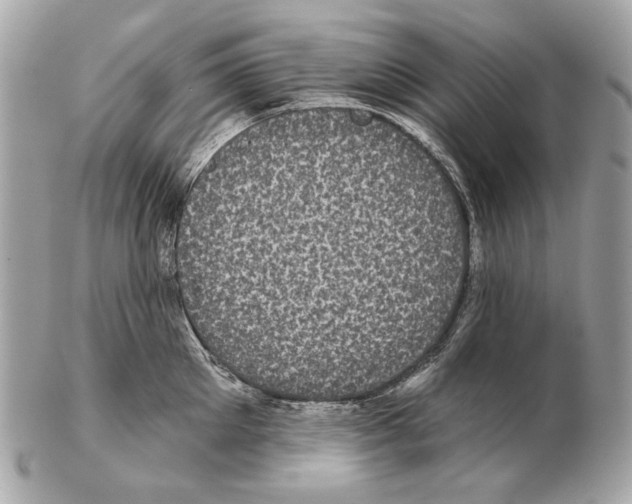 X0000102400905200808291443