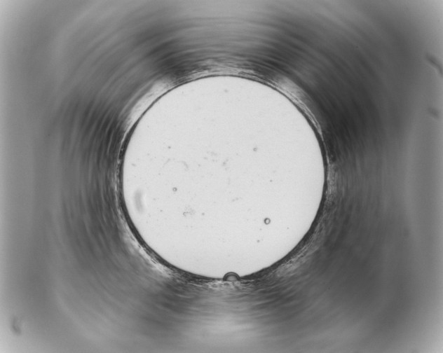 X0000102400906200808291443