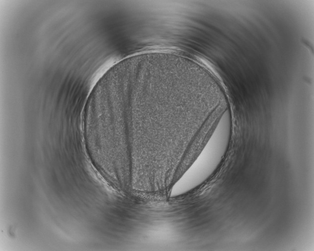 X0000102400907200808291443