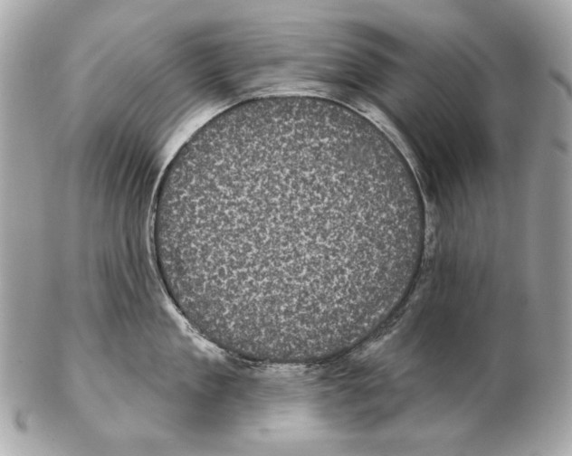 X0000102400909200808291443