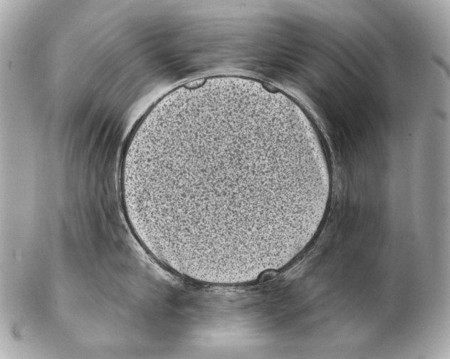 X0000102400910200808291442