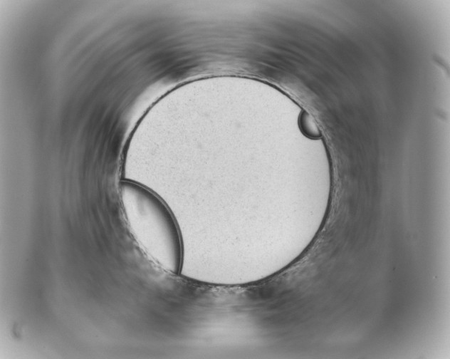 X0000102400912200808291442