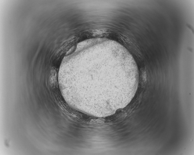 X0000102400914200808291442