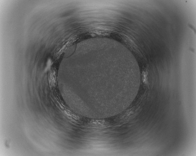X0000102400915200808291442