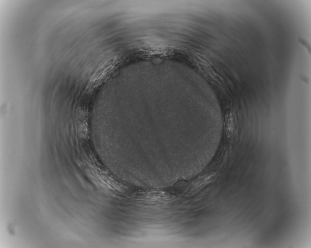 X0000102400916200808291442