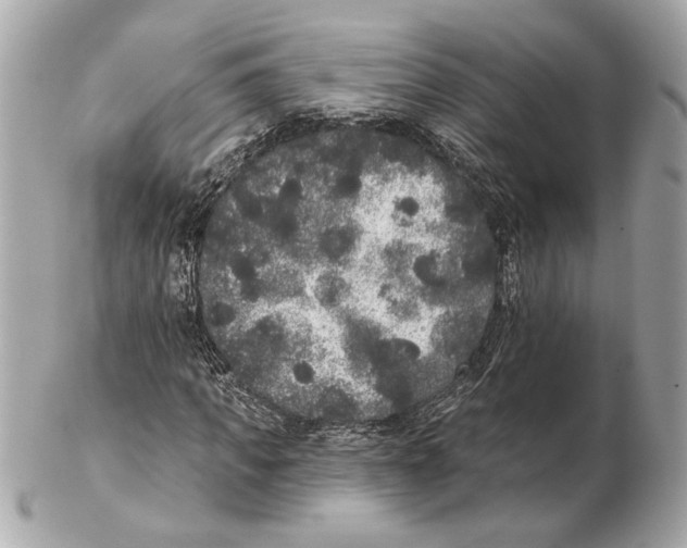 X0000102400917200808291442
