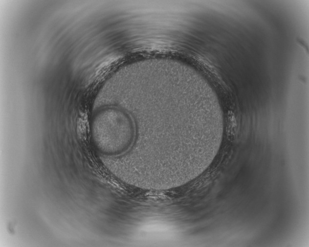X0000102400918200808291442