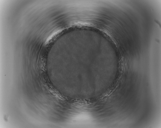 X0000102400919200808291442
