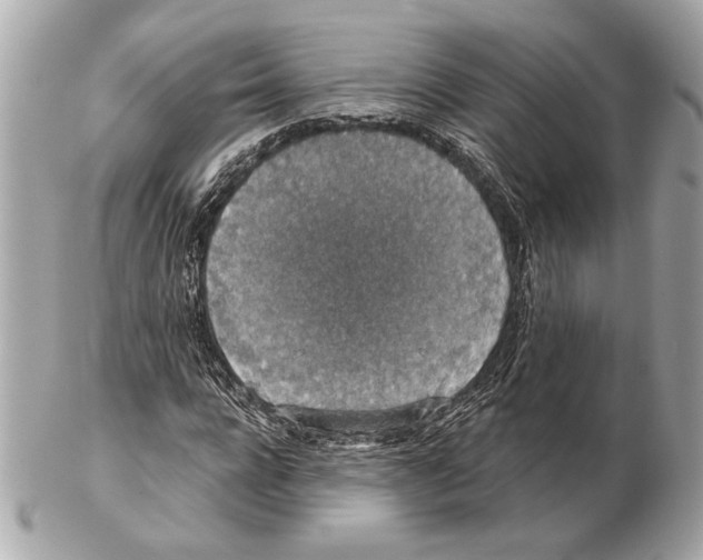 X0000102400920200808291442