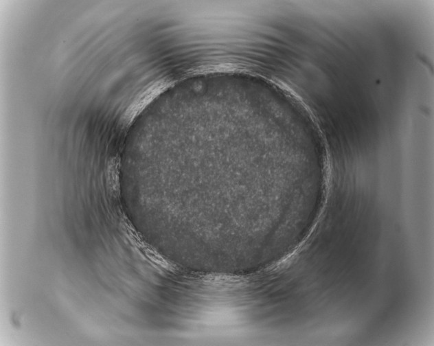 X0000102400921200808291442