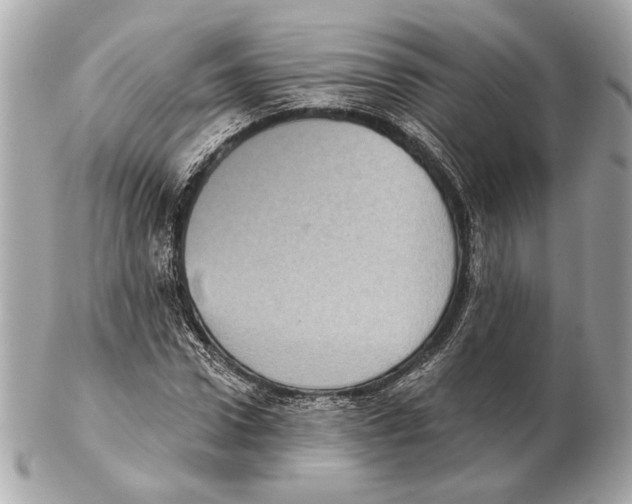 X0000102400922200808291442