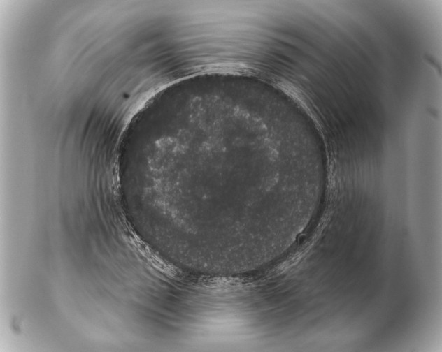 X0000102400923200808291442