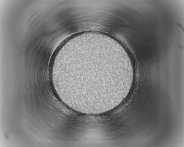 X0000102400924200808291442