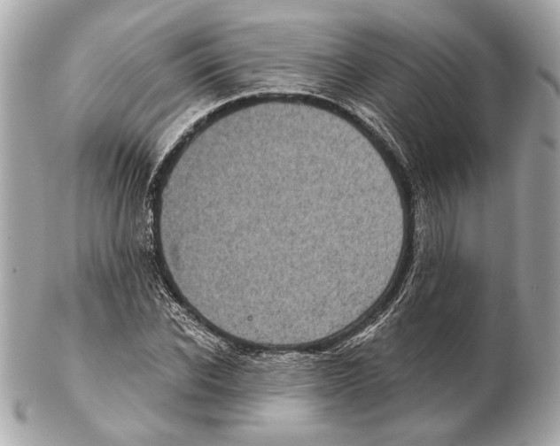 X0000102400926200808291442