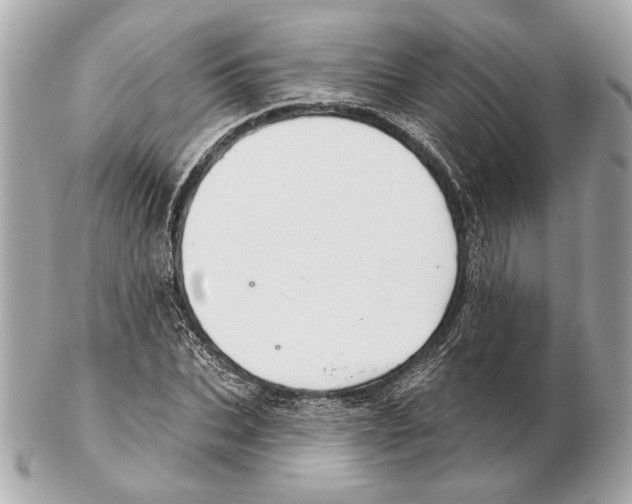 X0000102400927200808291442