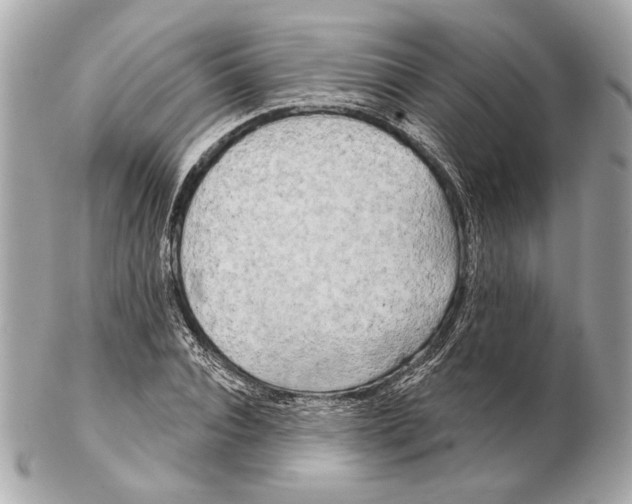 X0000102400928200808291442
