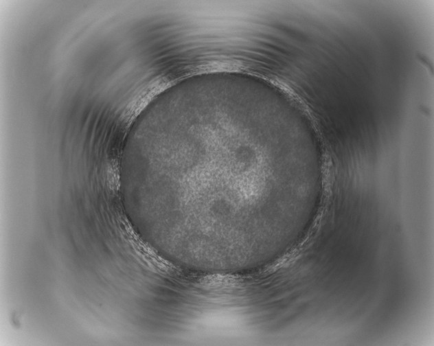 X0000102400929200808291442