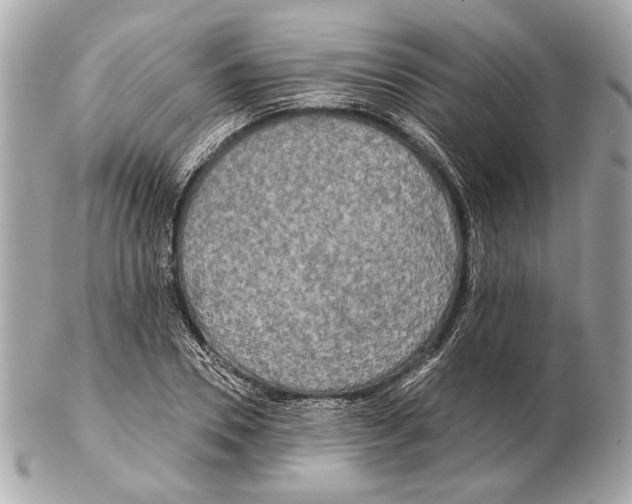 X0000102400930200808291442
