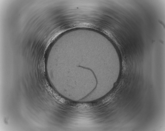 X0000102400931200808291442
