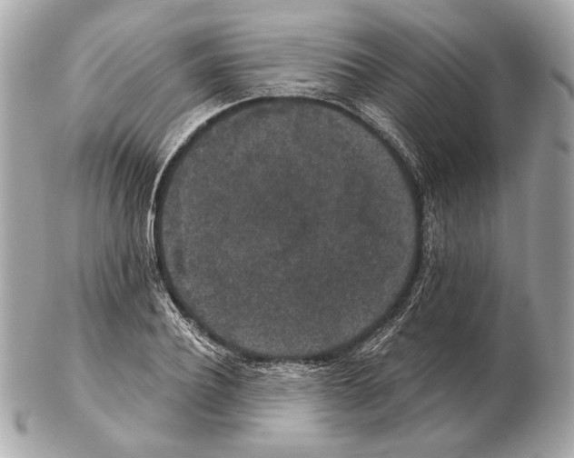 X0000102400932200808291442