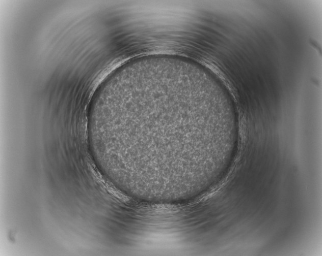 X0000102400933200808291442