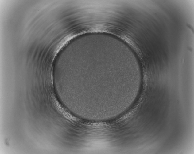 X0000102400934200808291442