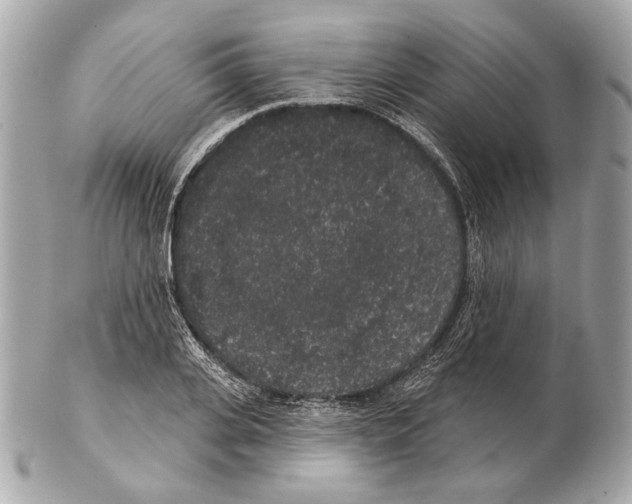 X0000102400935200808291442