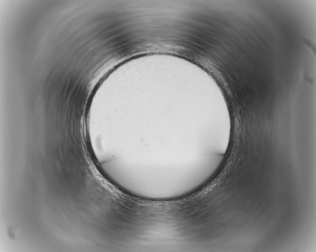 X0000102400936200808291442