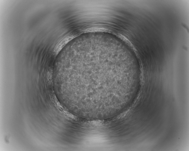 X0000102400937200808291442