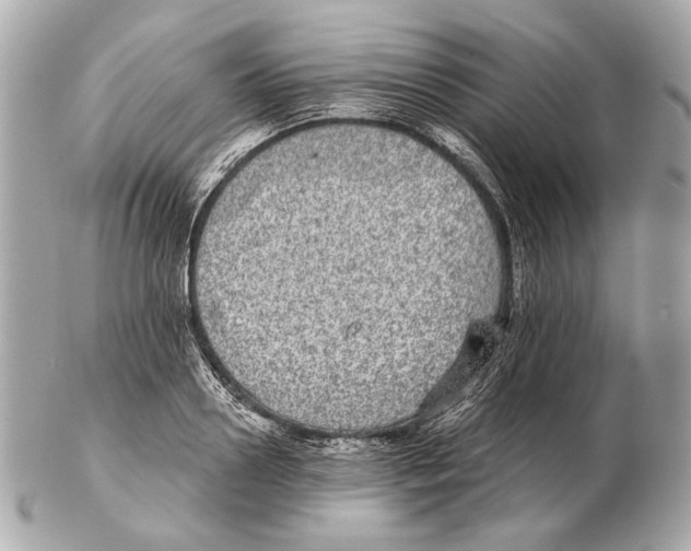 X0000102400938200808291442