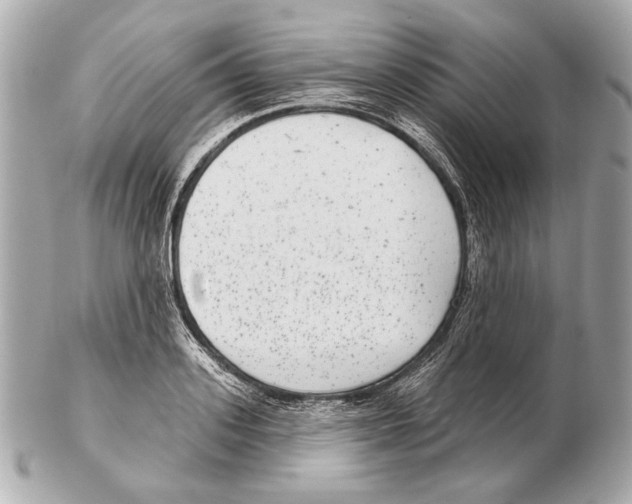 X0000102400939200808291442