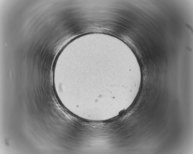X0000102400940200808291442