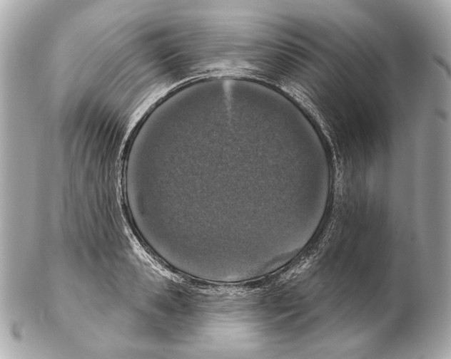 X0000102400941200808291442