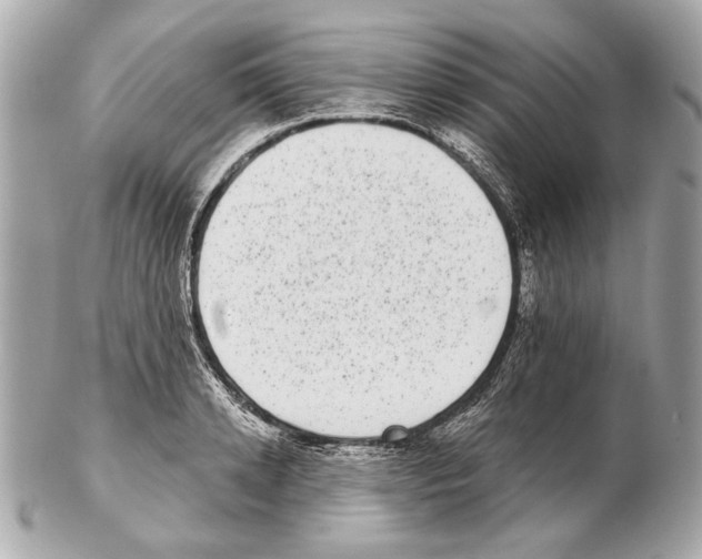 X0000102400942200808291442