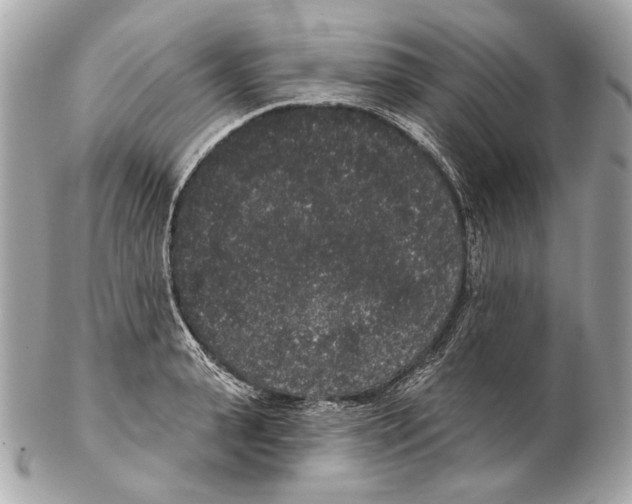 X0000102400943200808291442