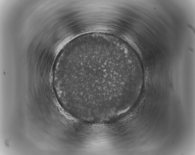 X0000102400944200808291442