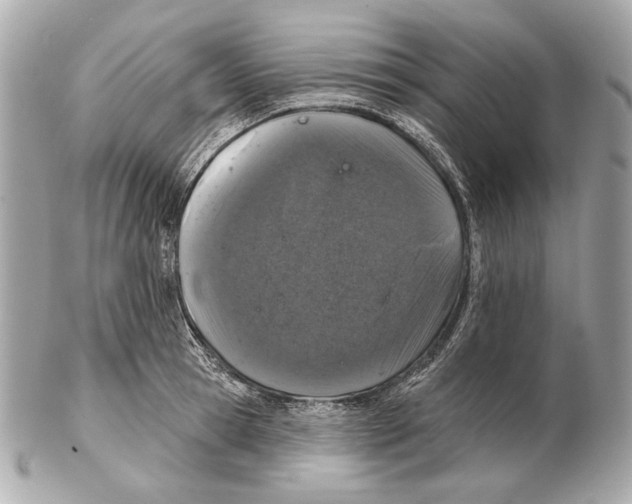 X0000102400945200808291442