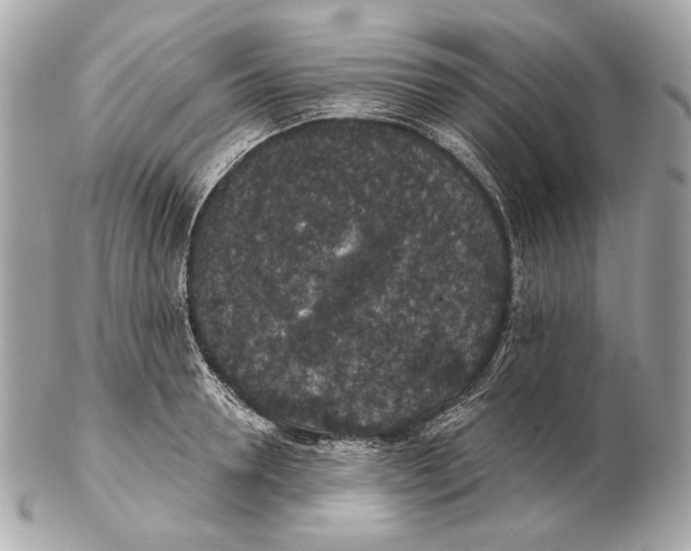 X0000102400946200808291442