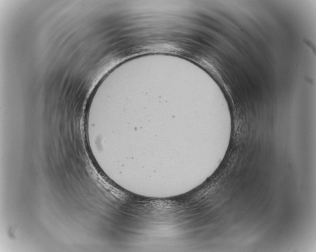 X0000102400947200808291442