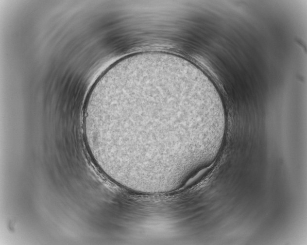 X0000102400948200808291442