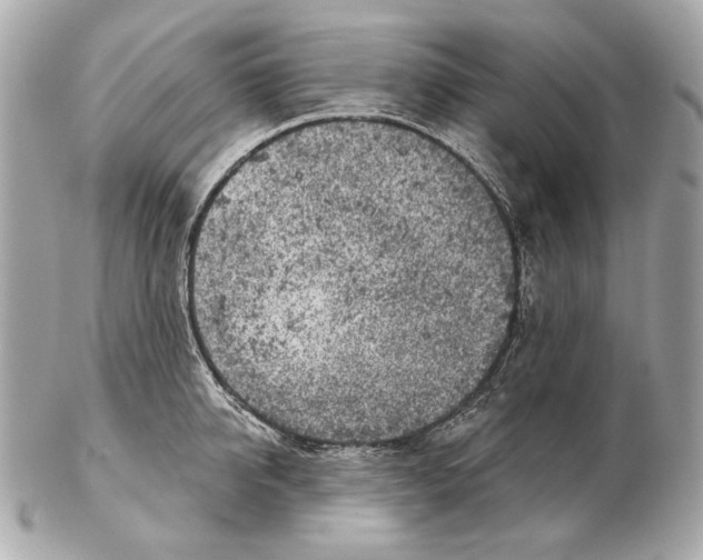 X0000102400950200808291442