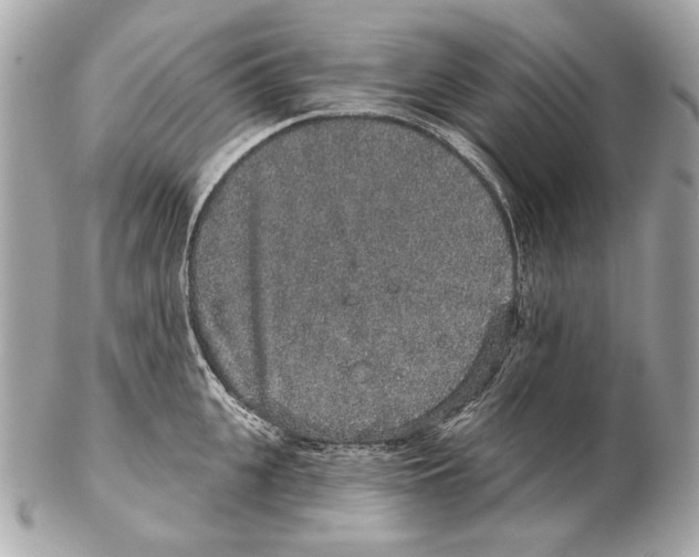 X0000102400951200808291442