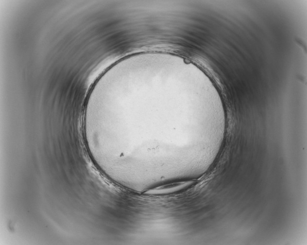 X0000102400952200808291442