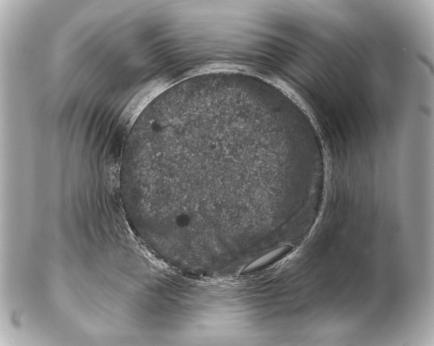 X0000102400953200808291442