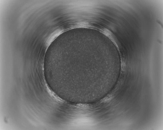 X0000102400954200808291442