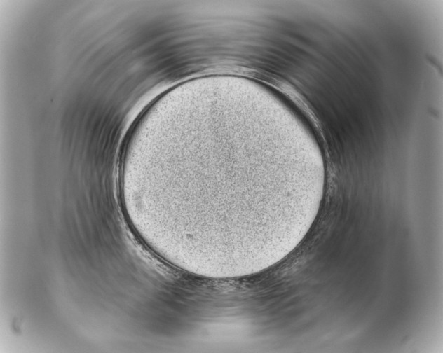 X0000102400955200808291442