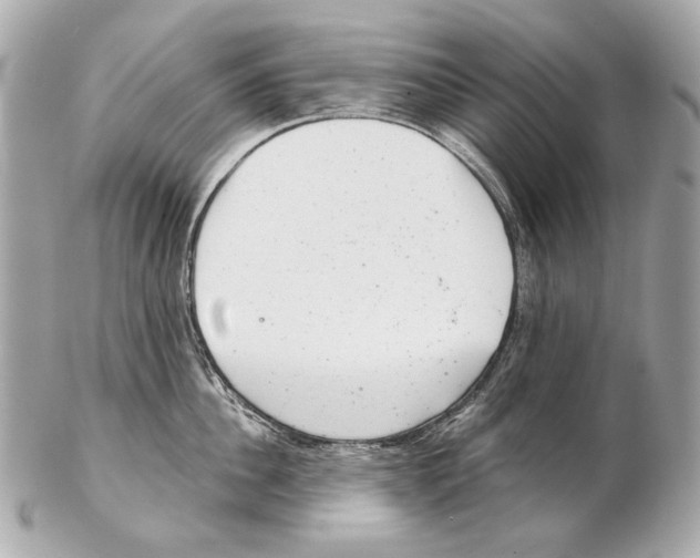 X0000102400956200808291442