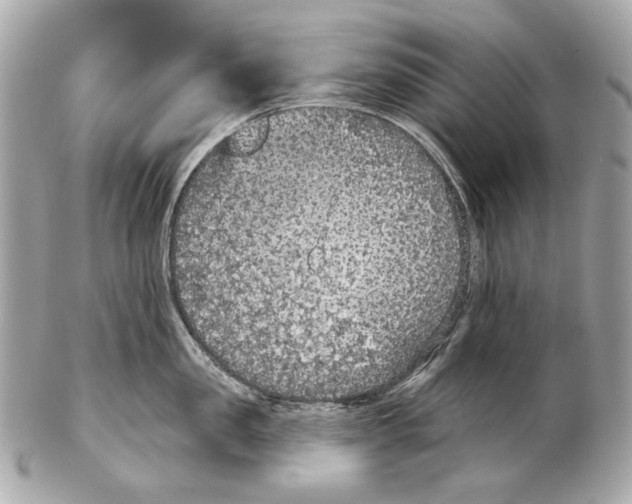 X0000102400957200808291442